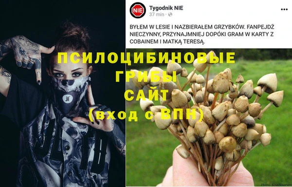 a pvp Белокуриха