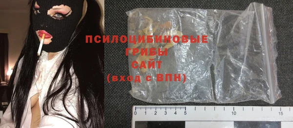 a pvp Белокуриха