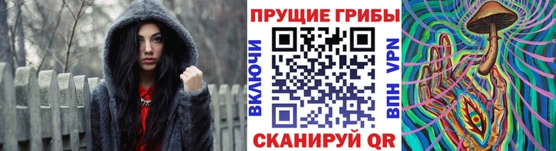 Псилоцибиновые грибы MAGIC MUSHROOMS  Пикалёво 
